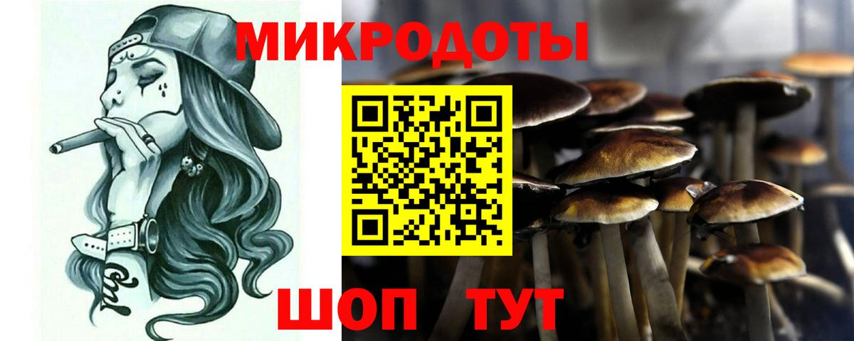 Галлюциногенные грибы Magic Shrooms Фрязино